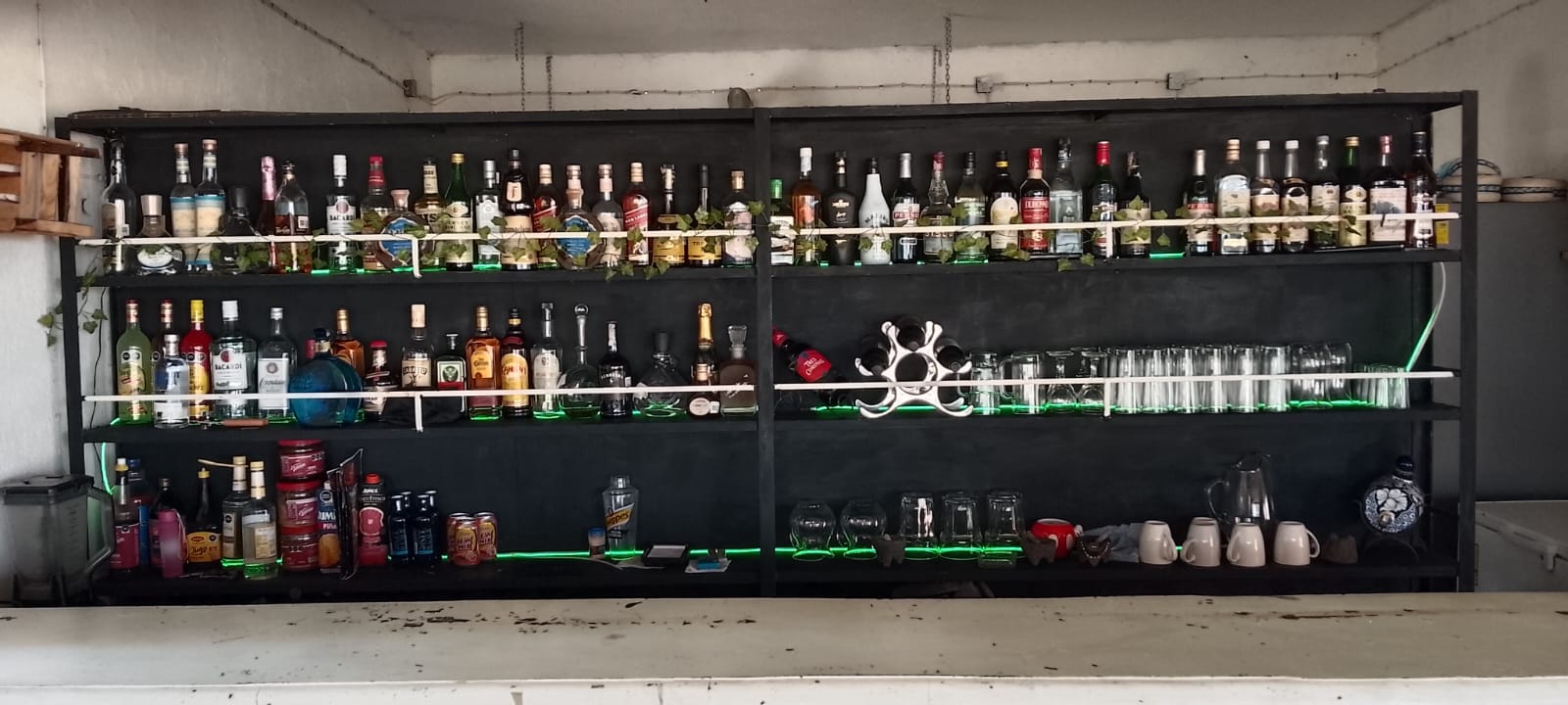 Bar y área de servicio
