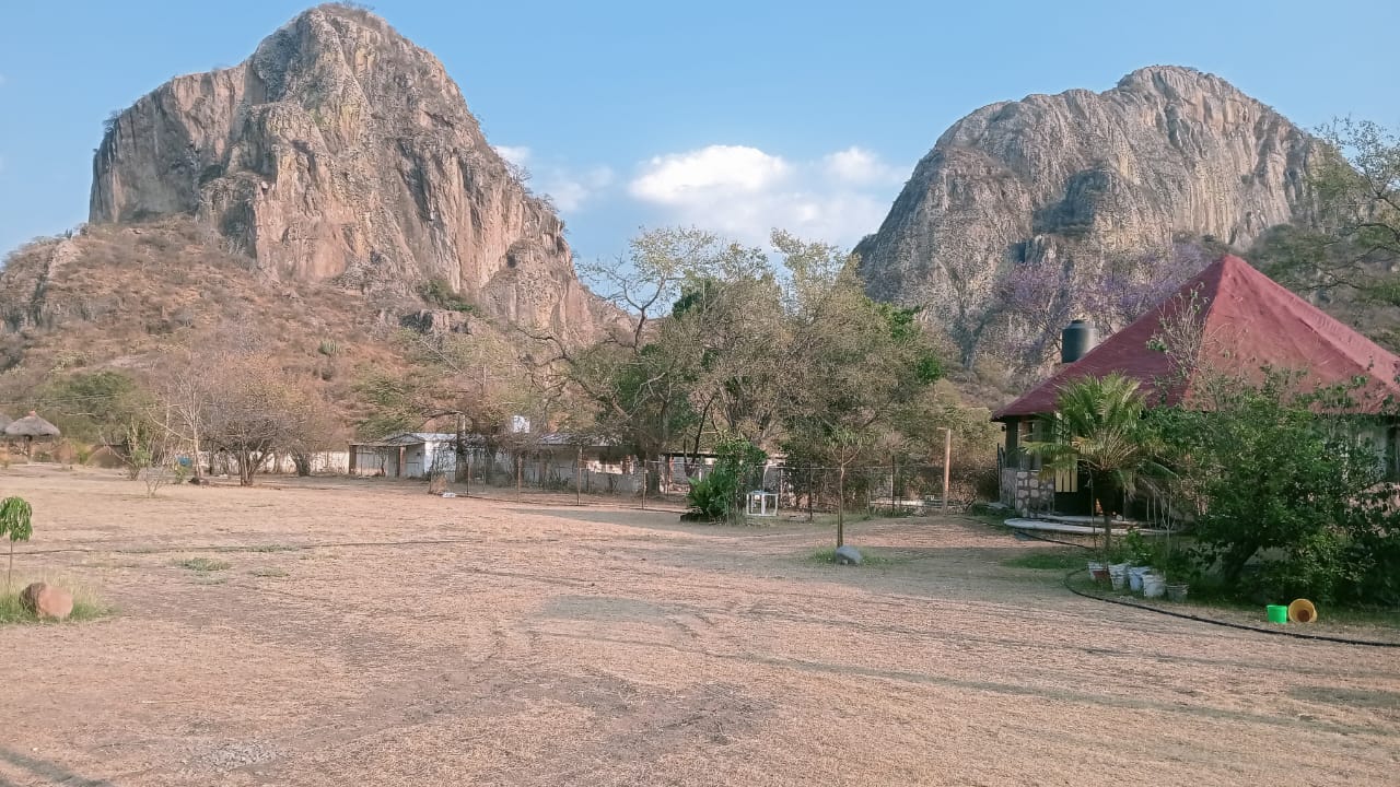 Áreas verdes y palapas